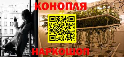 Альфа ПВП Абакан