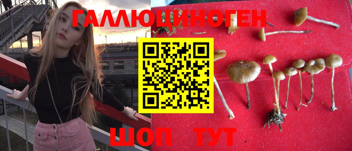 Псилоцибиновые грибы мицелий Ахтубинск