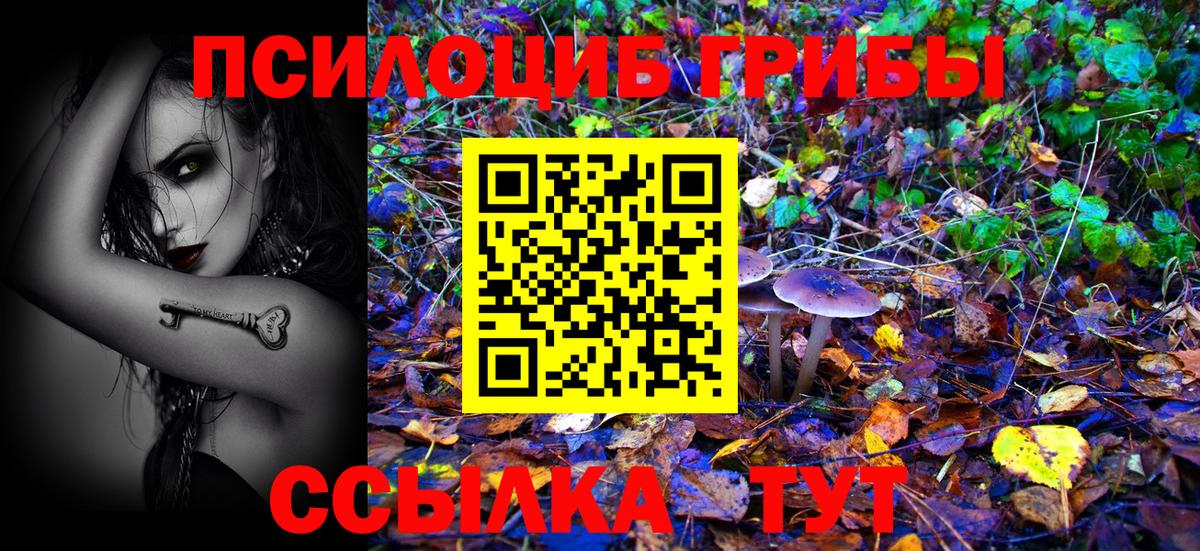 Галлюциногенные грибы GOLDEN TEACHER  Вход с VPN  Ахтубинск 